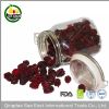 golden supplier dried fruits price freeze dried blackberry